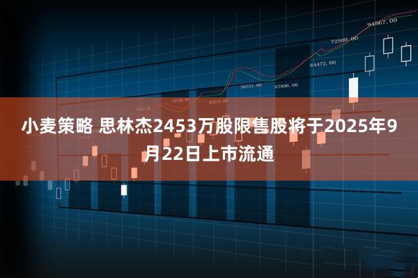 小麦策略 思林杰2453万股限售股将于2025年9月22日上市流通