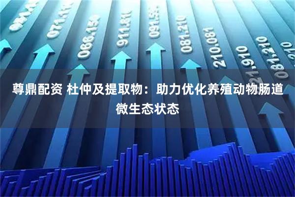 尊鼎配资 杜仲及提取物：助力优化养殖动物肠道微生态状态