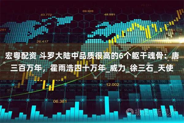 宏粤配资 斗罗大陆中品质很高的6个躯干魂骨：唐三百万年，霍雨浩四十万年_威力_徐三石_天使